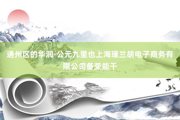 通州区的华润·公元九里也上海瑾兰胡电子商务有限公司备受能干
